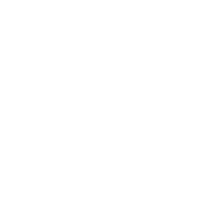 Salt Light Customs